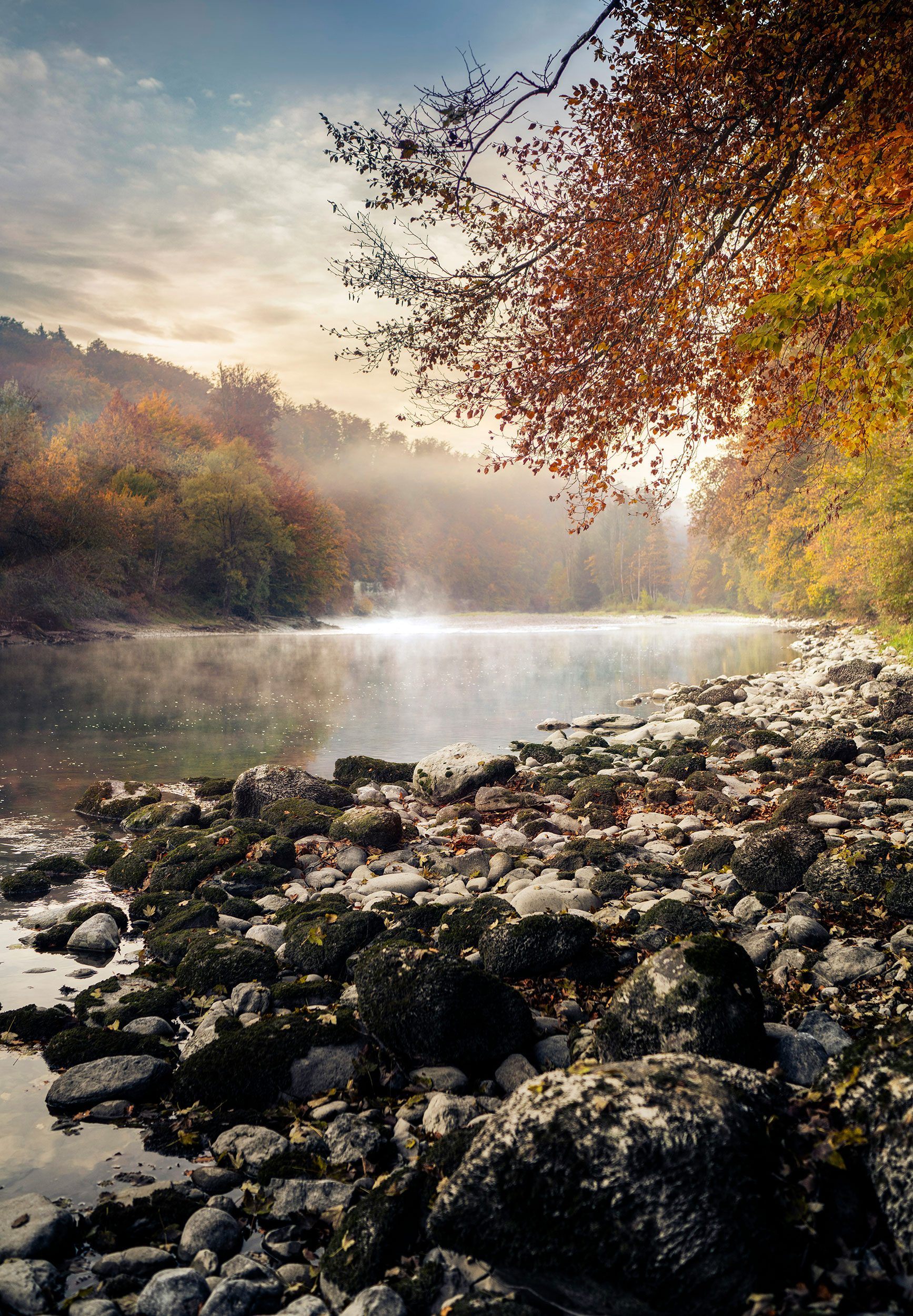 fabrice-villard-SqR4dipCLfg-unsplash